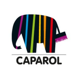Caparol Farbtöne in Acryldichtstoff